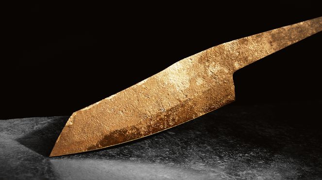 
                    Il coltello da cuoco completamente d'acciaio damasco con il marchio di qualità: il pipistrello