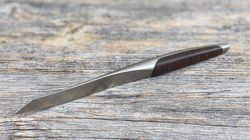 sknife coltello di bistecca, Schweizer Steakmesser
